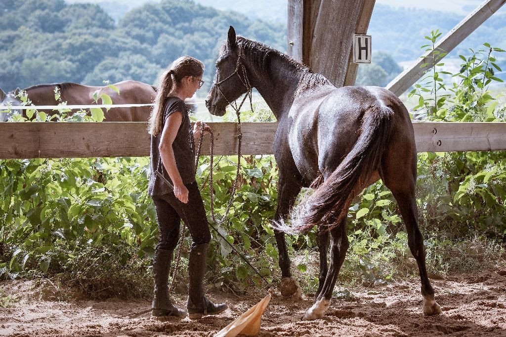 Photo 1 de Ecurie de Lukuya