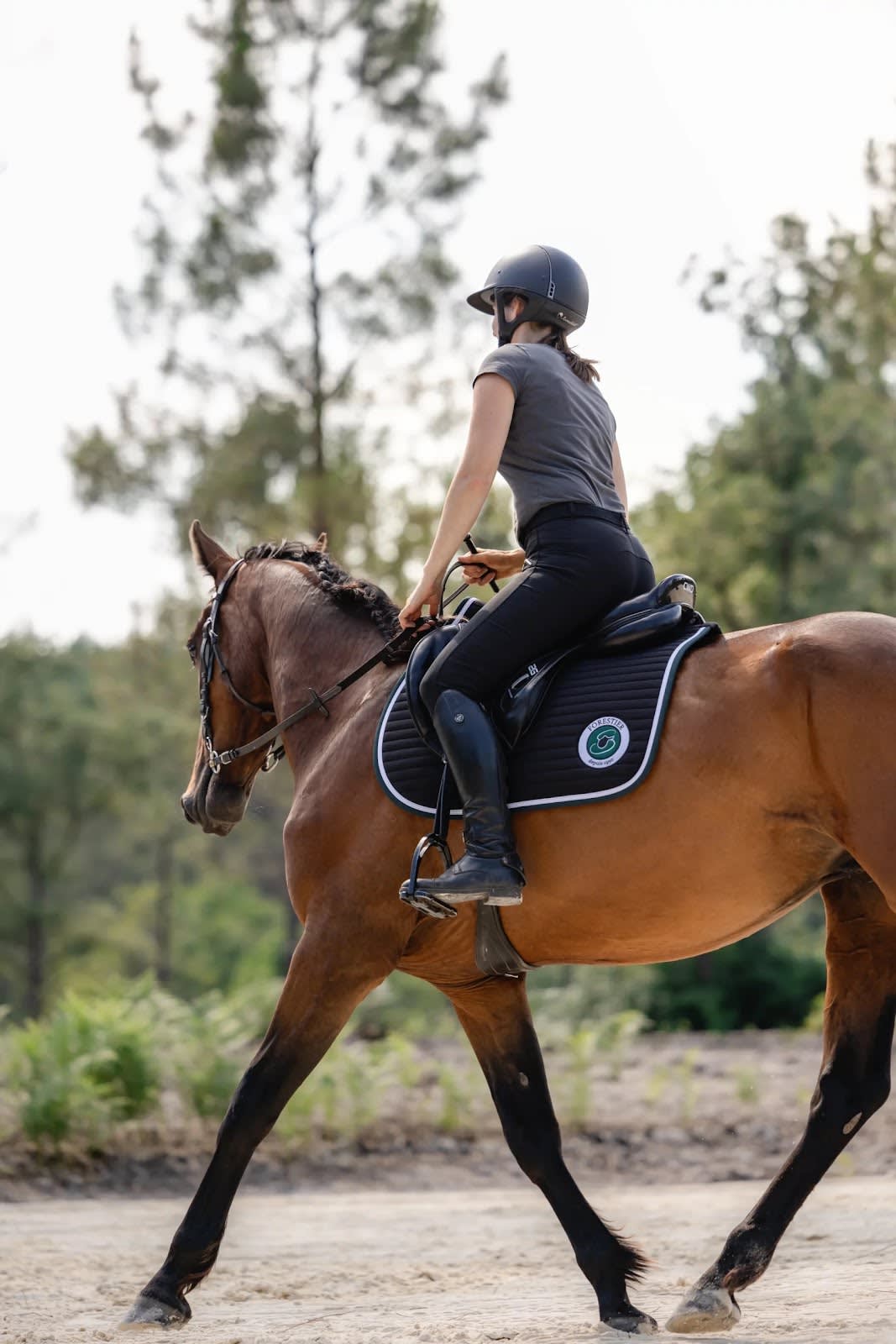 Photo 2 de Les Écuries de Roxane