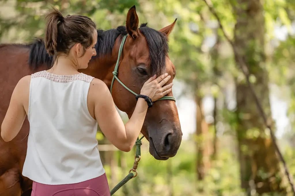 Photo 4 de Les Écuries de Roxane