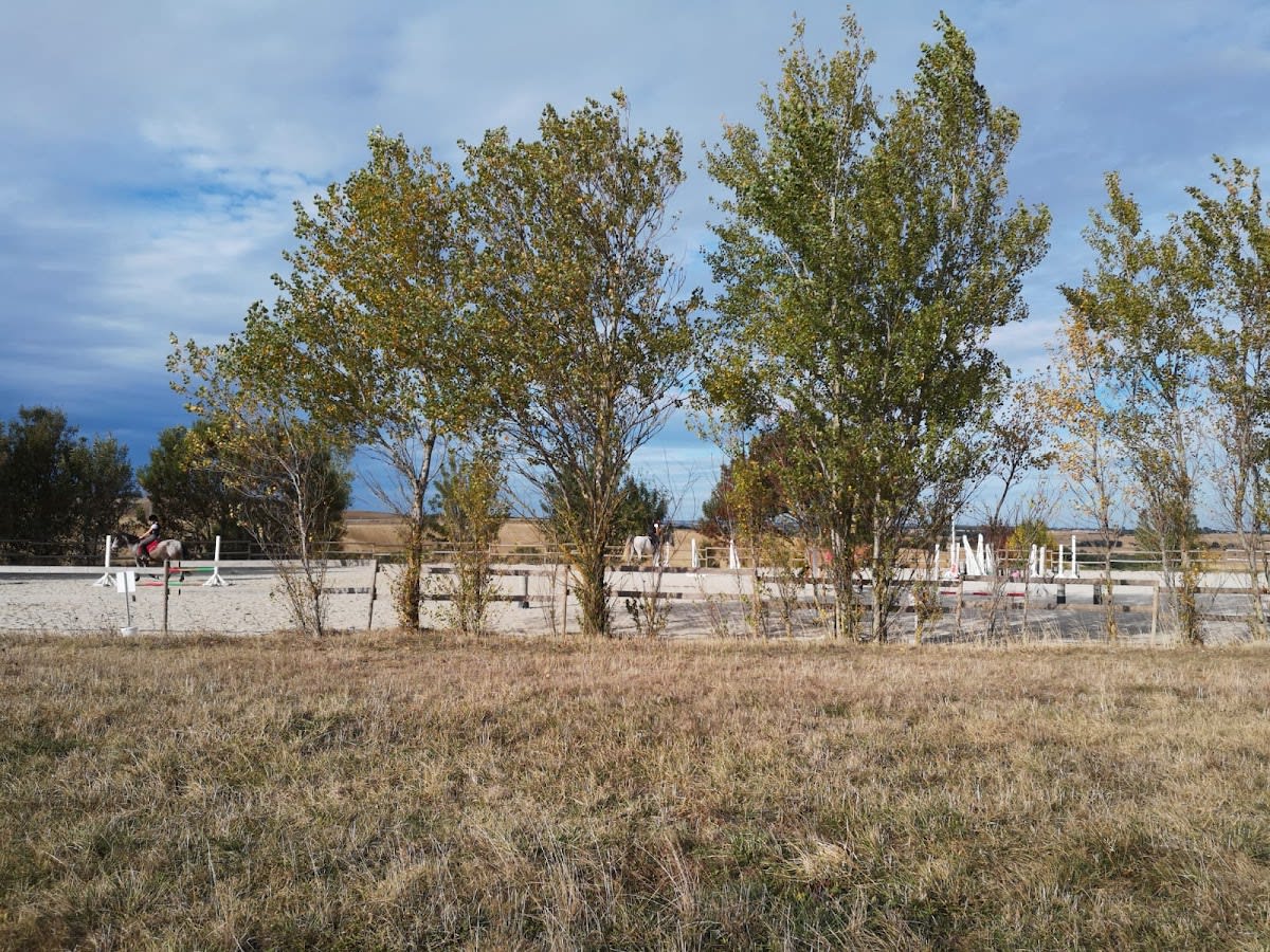 Photo 3 de Le Poney Bleu