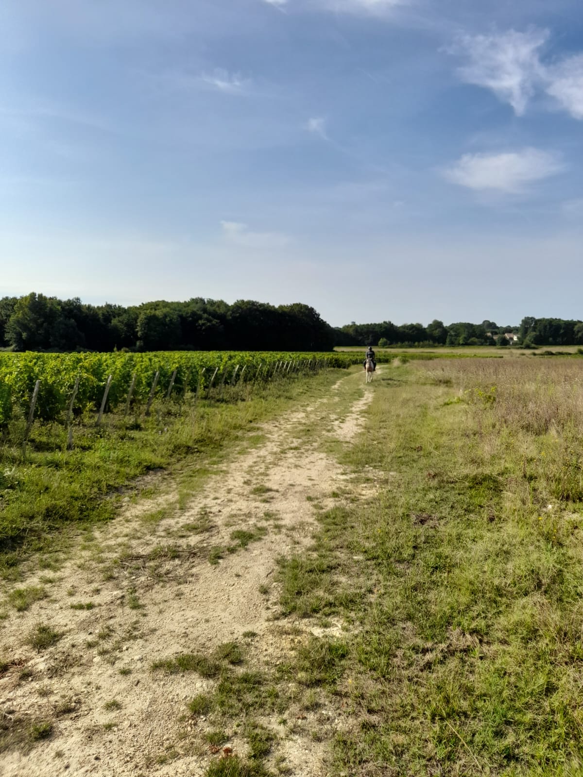 Photo 1 de Ranch des Lamberts