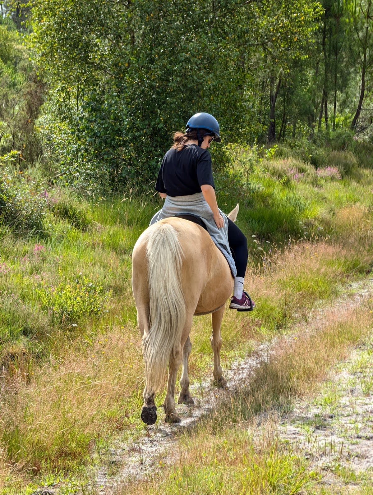 Photo 2 de Ranch des Lamberts