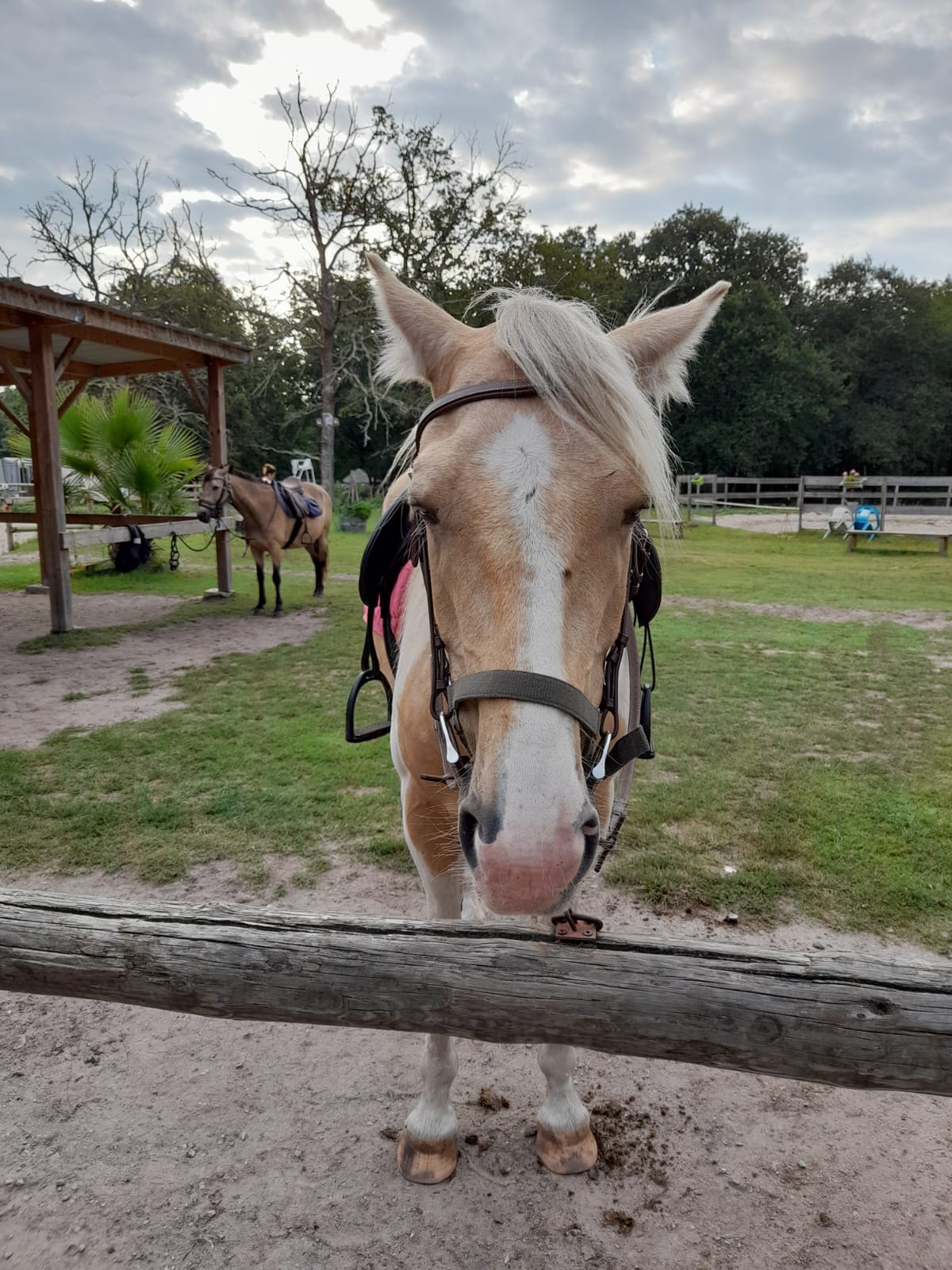 Photo 3 de Ranch des Lamberts