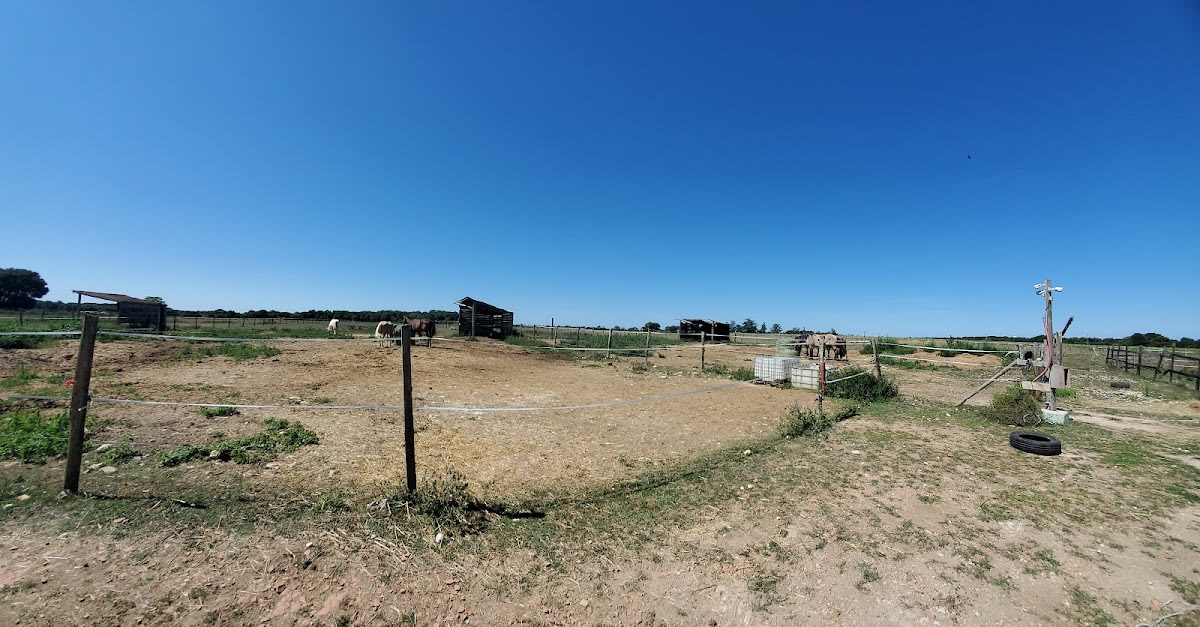 Photo 2 de Equilogic Farm