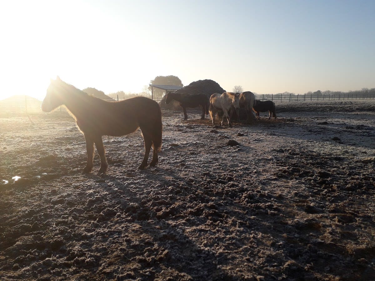 Photo 4 de Equilogic Farm