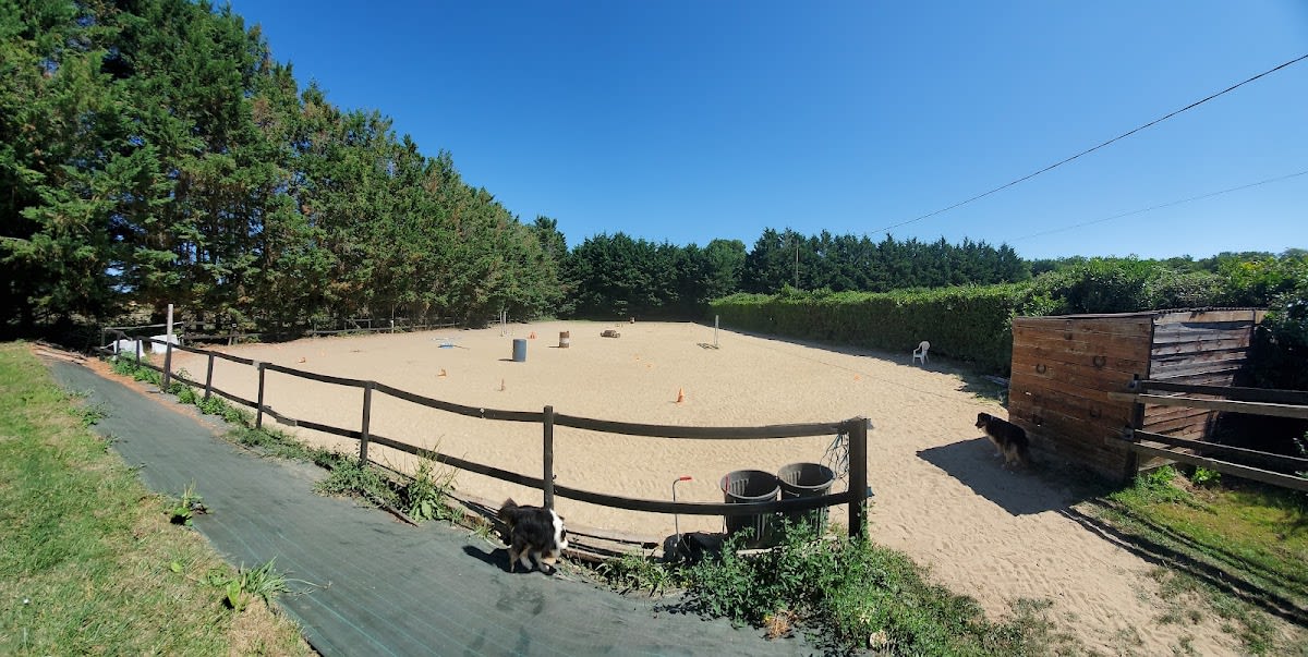 Photo 5 de Equilogic Farm