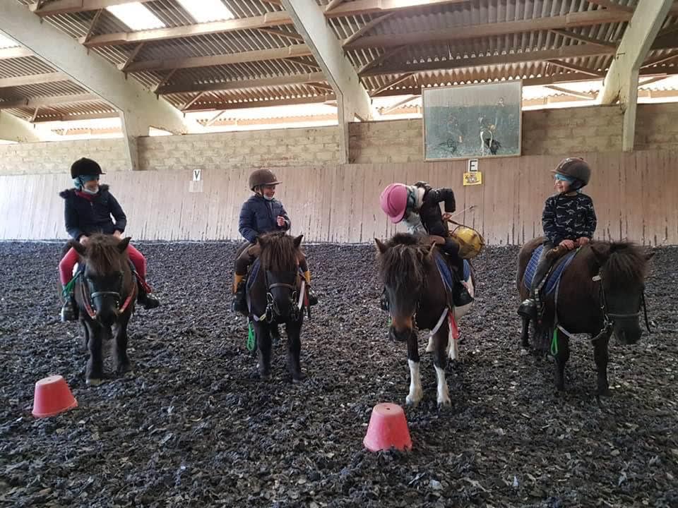 Photo 2 de Centre Equestre La Reole