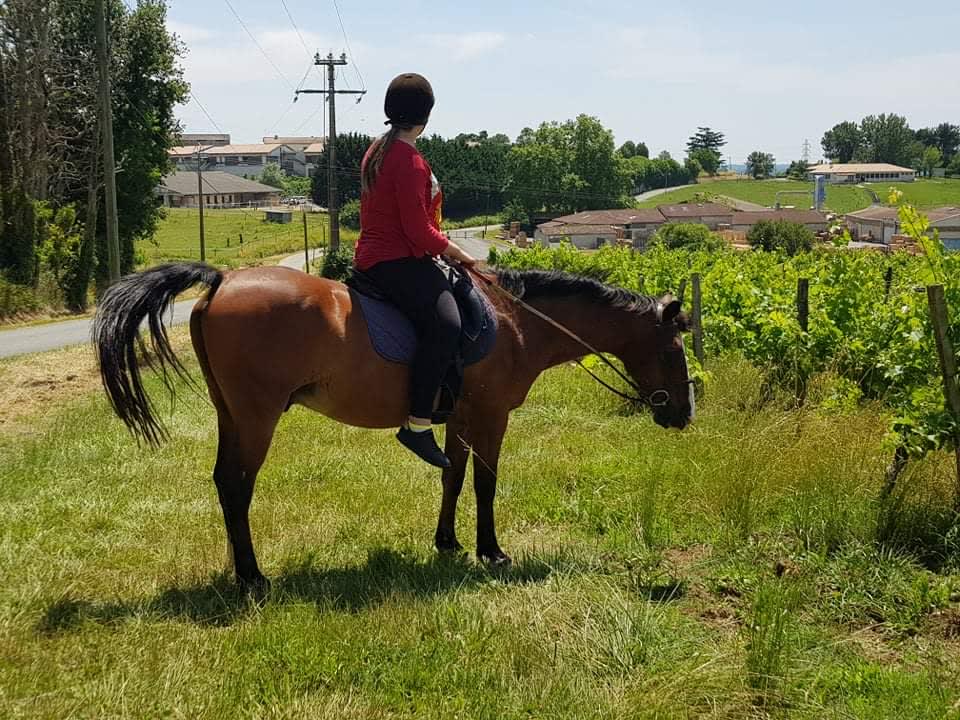 Photo 3 de Centre Equestre La Reole