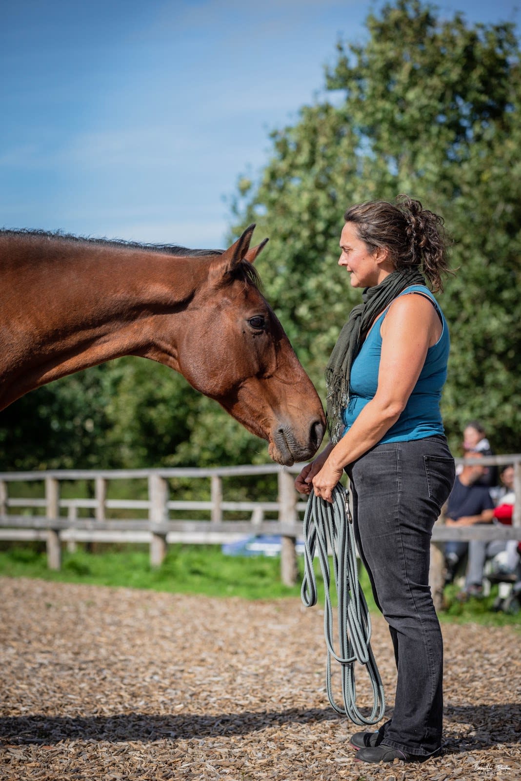 Photo 4 de Kairos Équitation