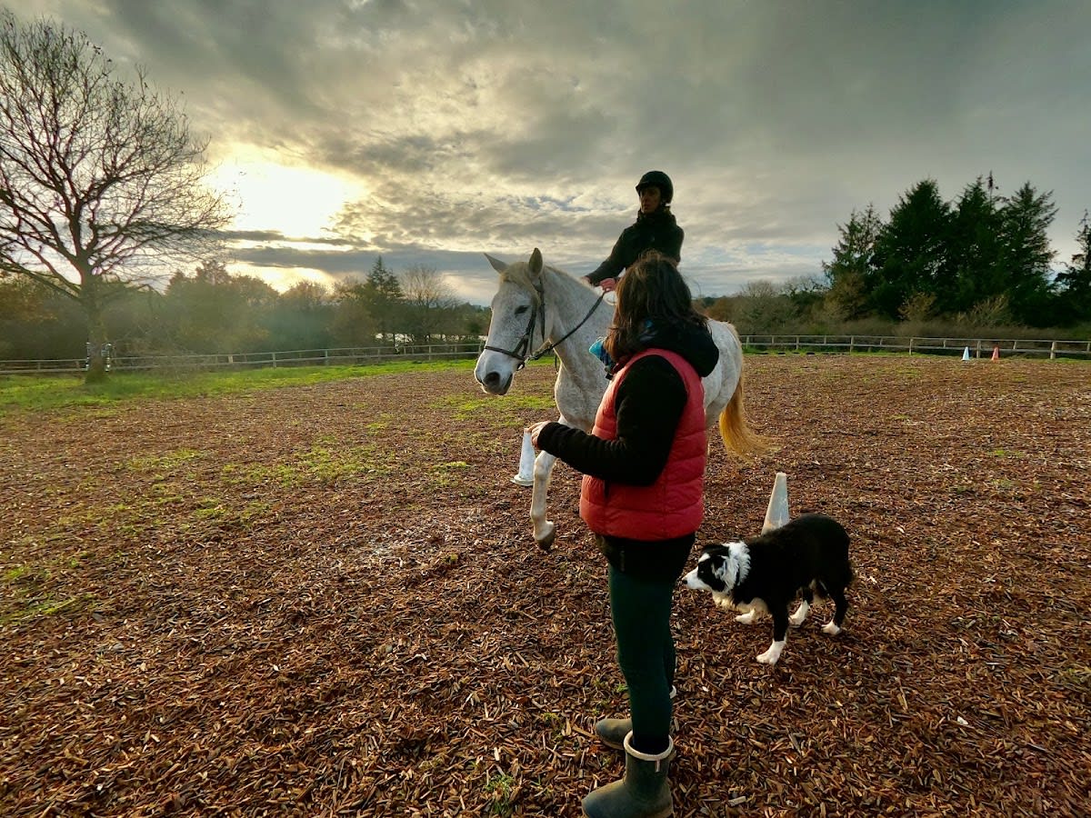 Photo 5 de Kairos Équitation