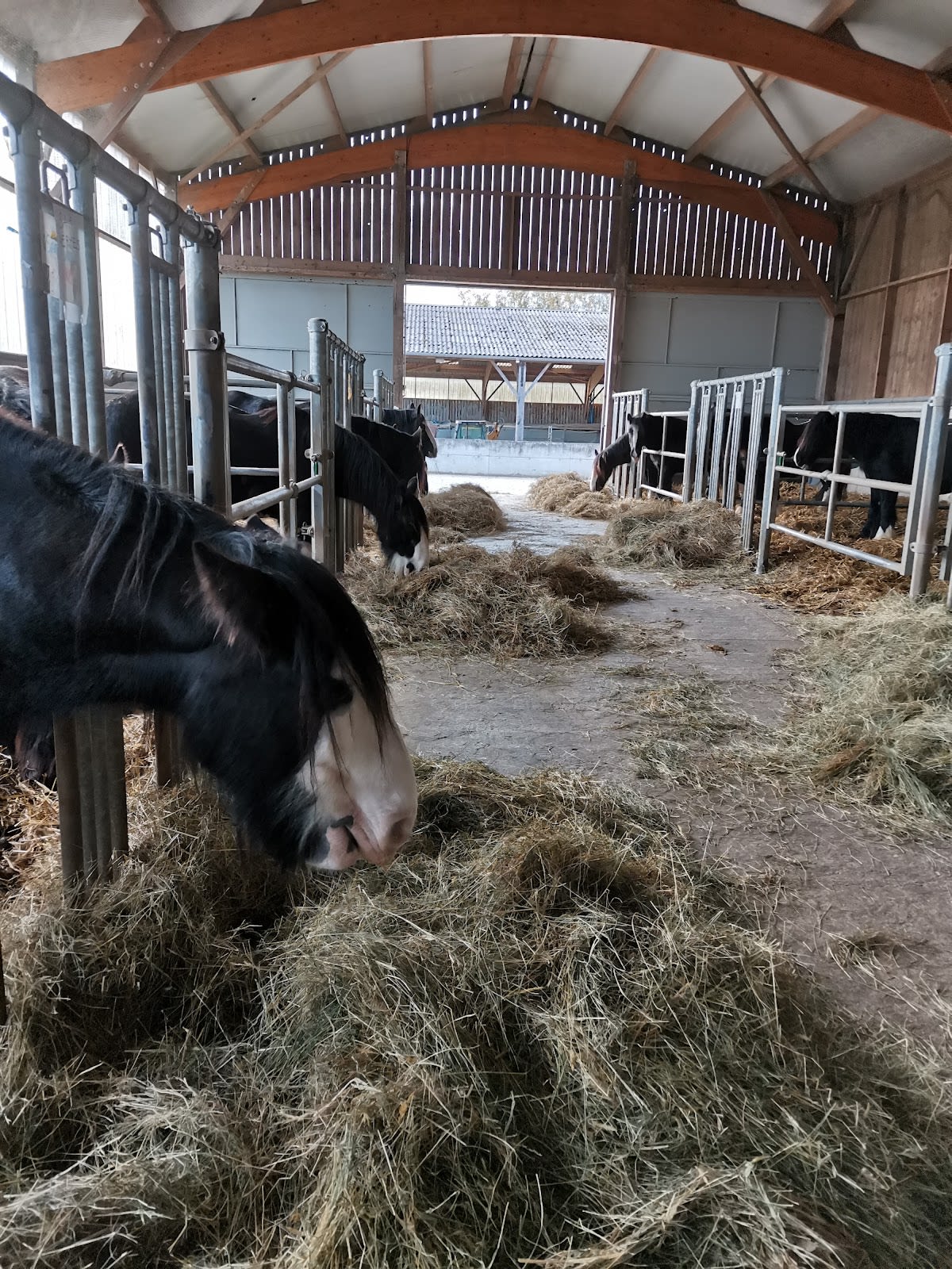 Photo 4 de Domaine Les Chevaux de Firfol