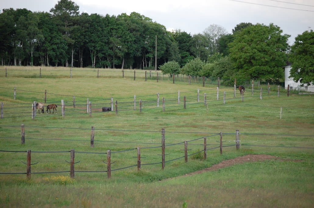 Photo 1 de EARL Écurie de Kerloës