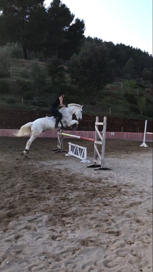 Photo 1 de Centre Équestre Le Nénuphar