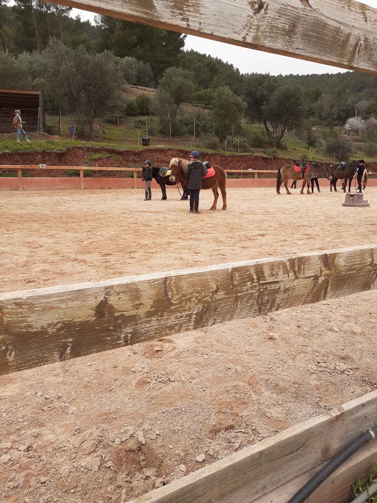 Photo 3 de Centre Équestre Le Nénuphar