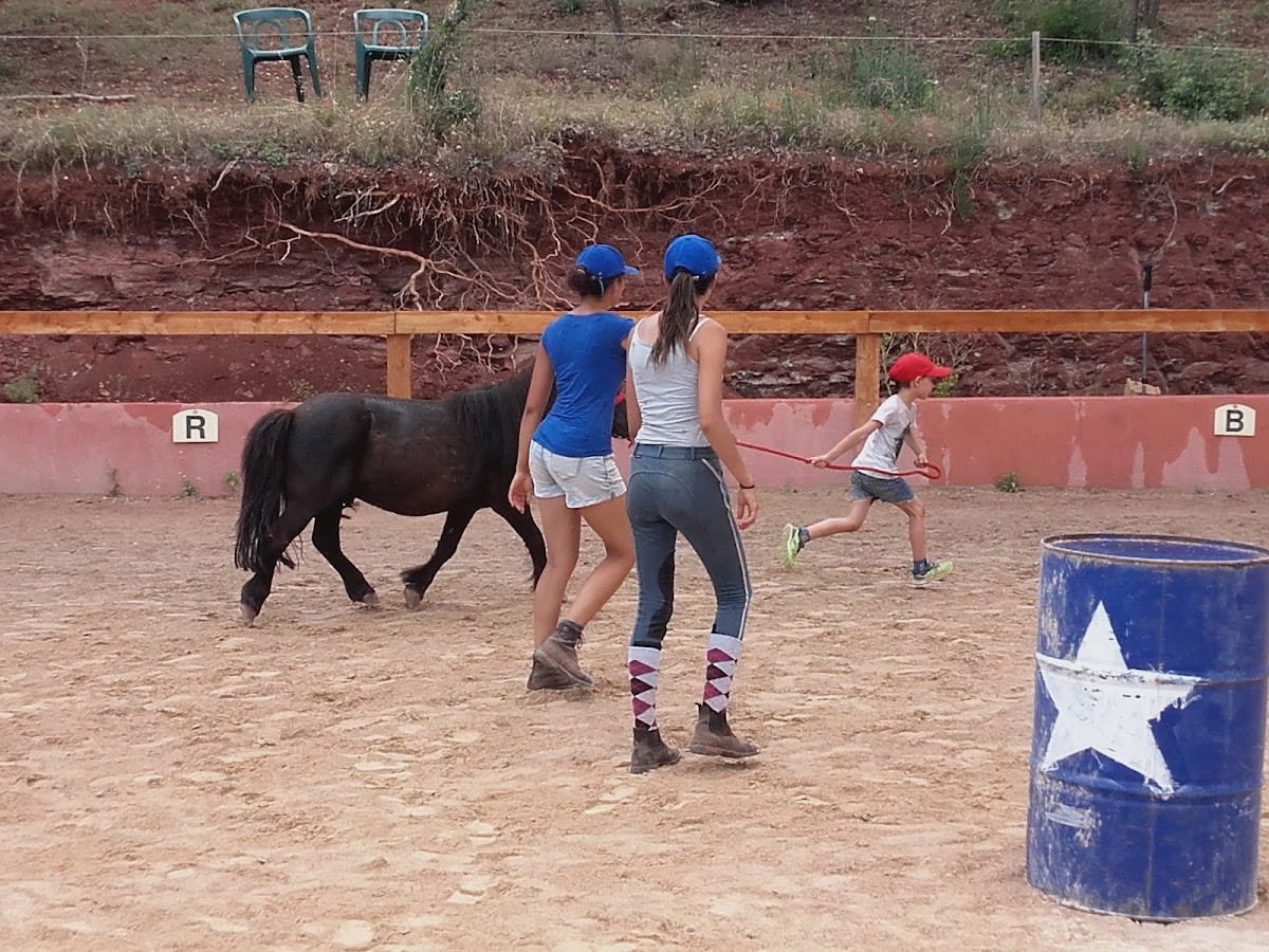 Photo 4 de Centre Équestre Le Nénuphar