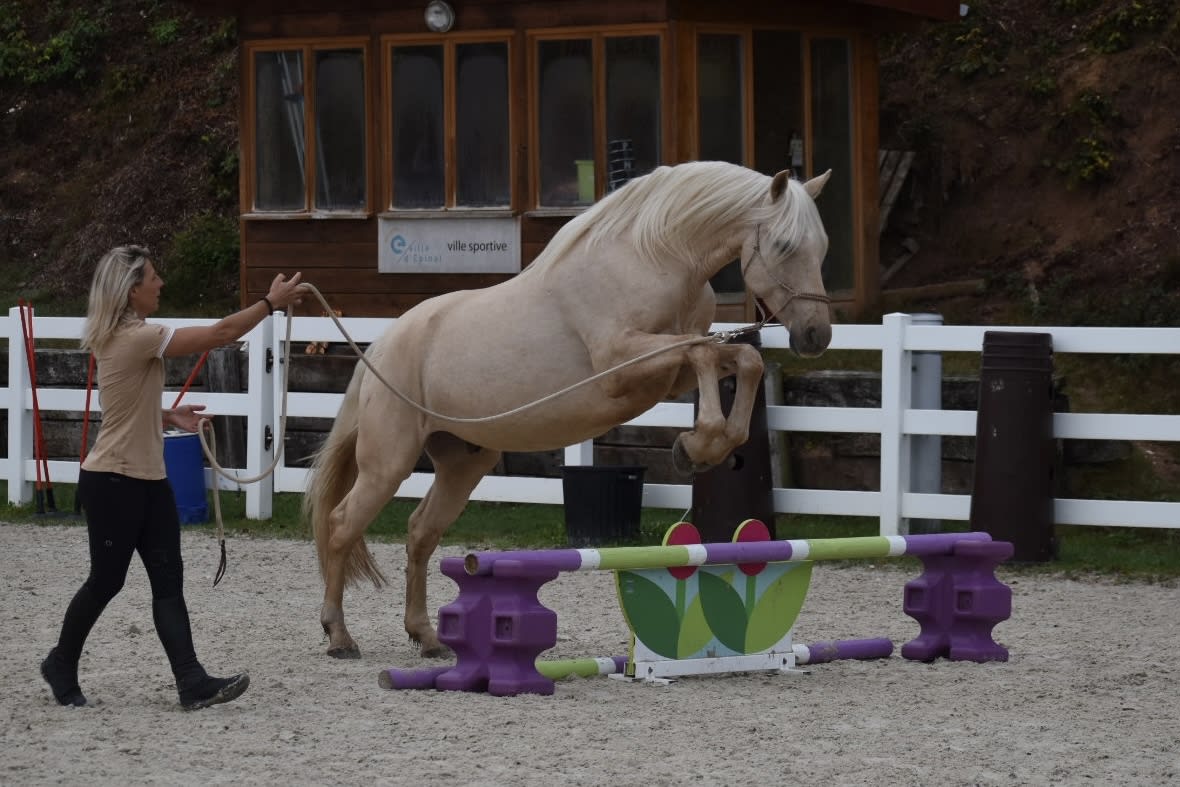 Photo 1 de SARL L'EQU'CRIN D'OLIMA