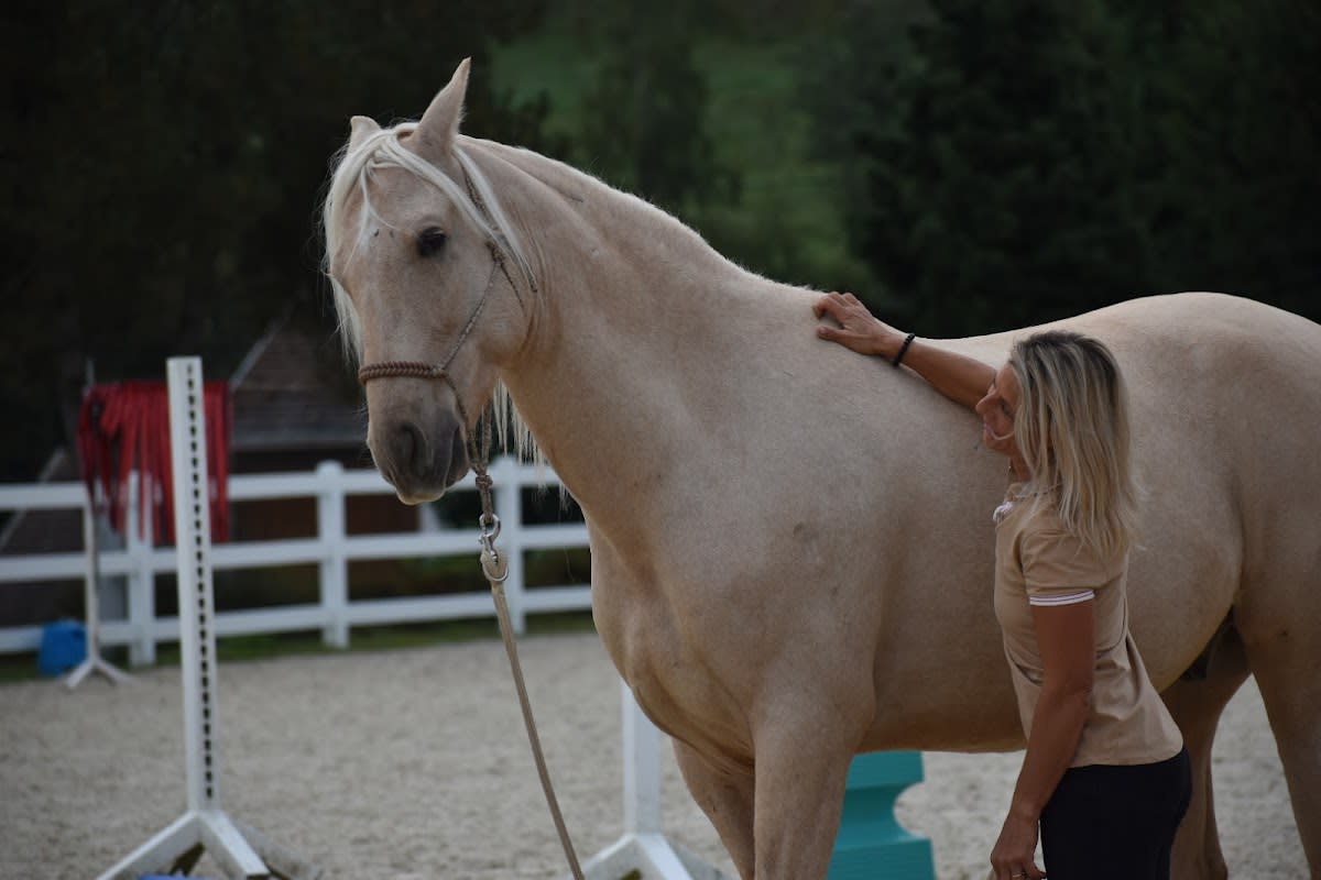 Photo 4 de SARL L'EQU'CRIN D'OLIMA