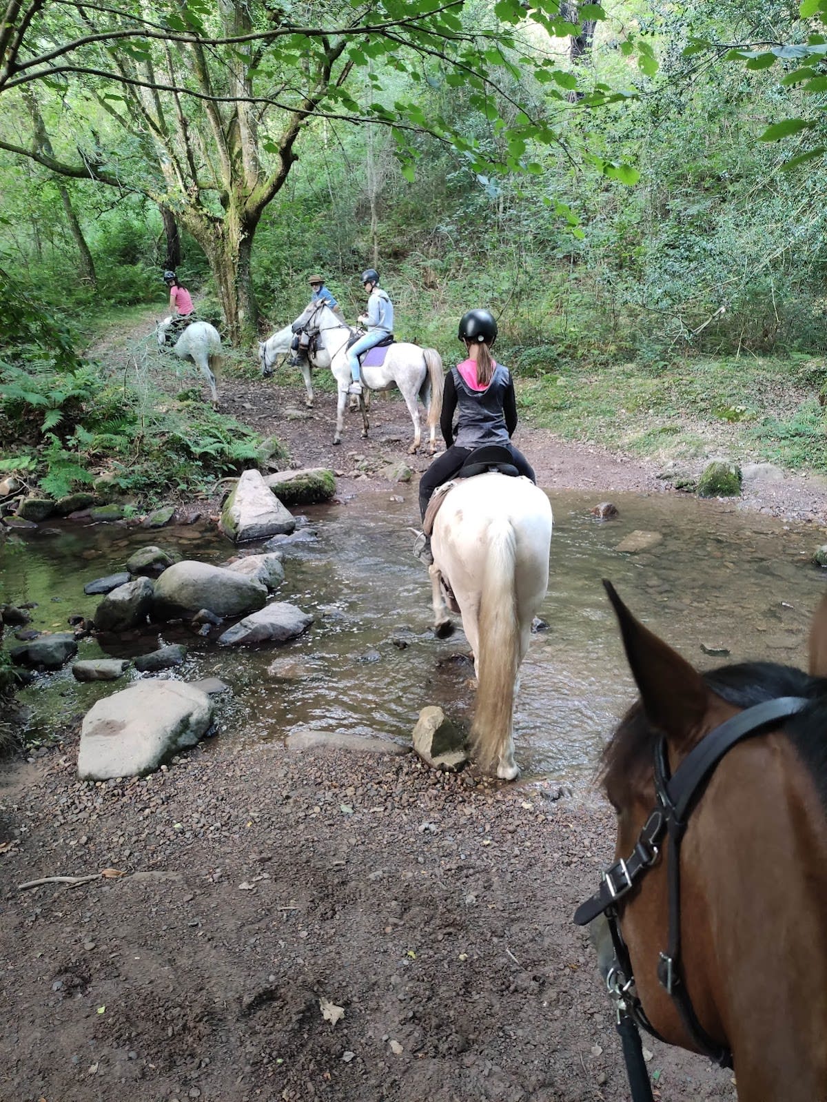 Photo 3 de Larrun Alde