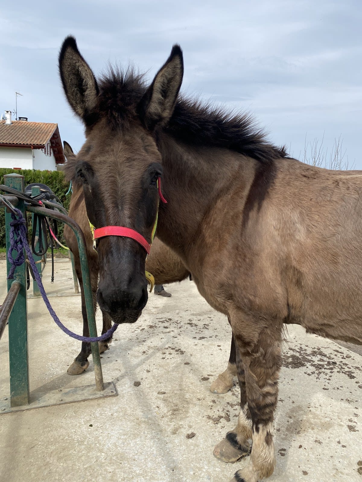 Photo 4 de Larrun Alde