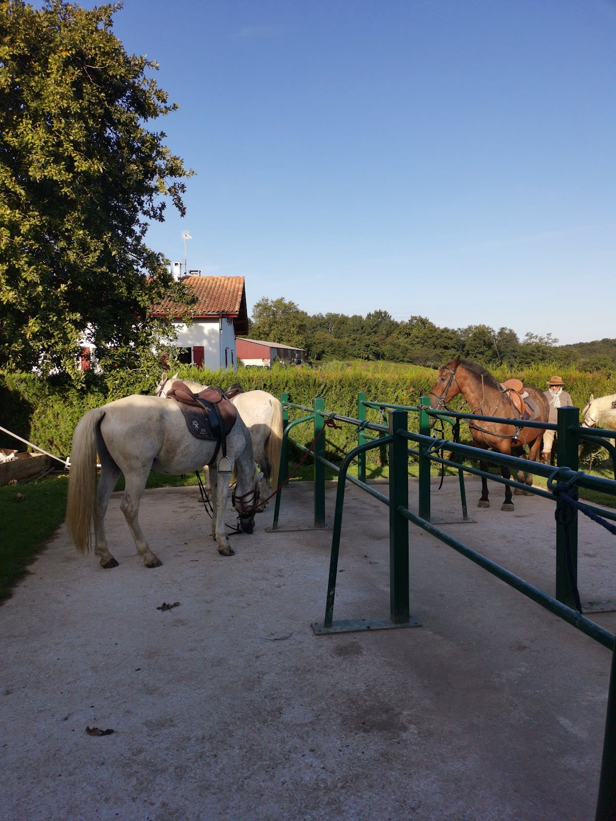 Photo 5 de Larrun Alde