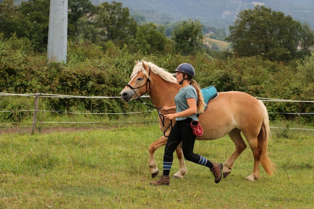 Photo 2 de Equinaflore