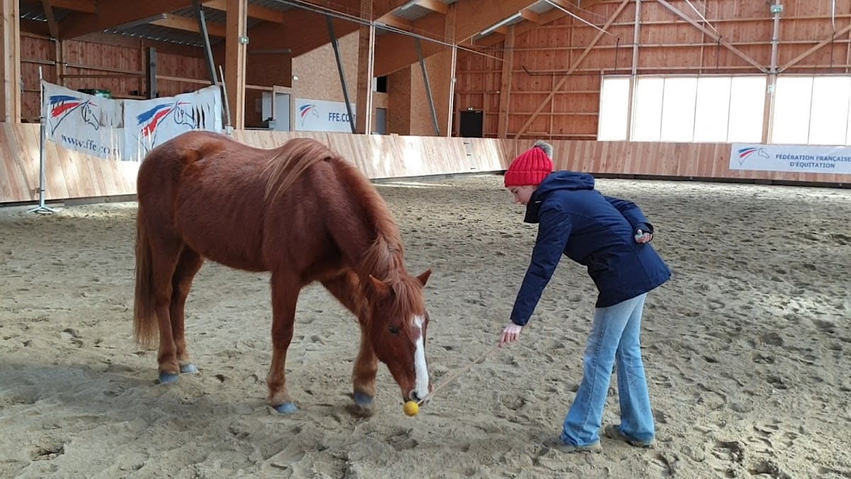 Photo 3 de Equinaflore