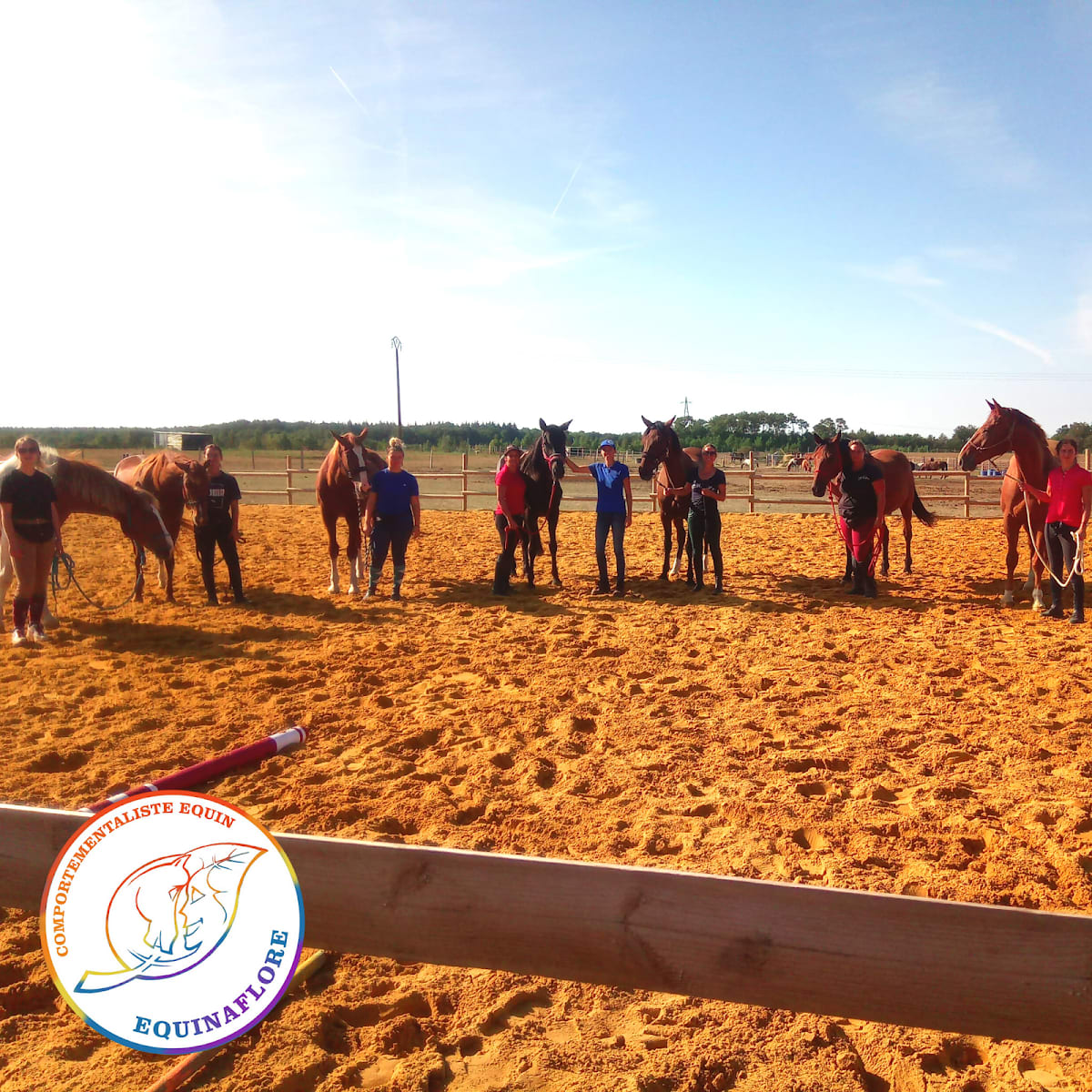 Photo 4 de Equinaflore