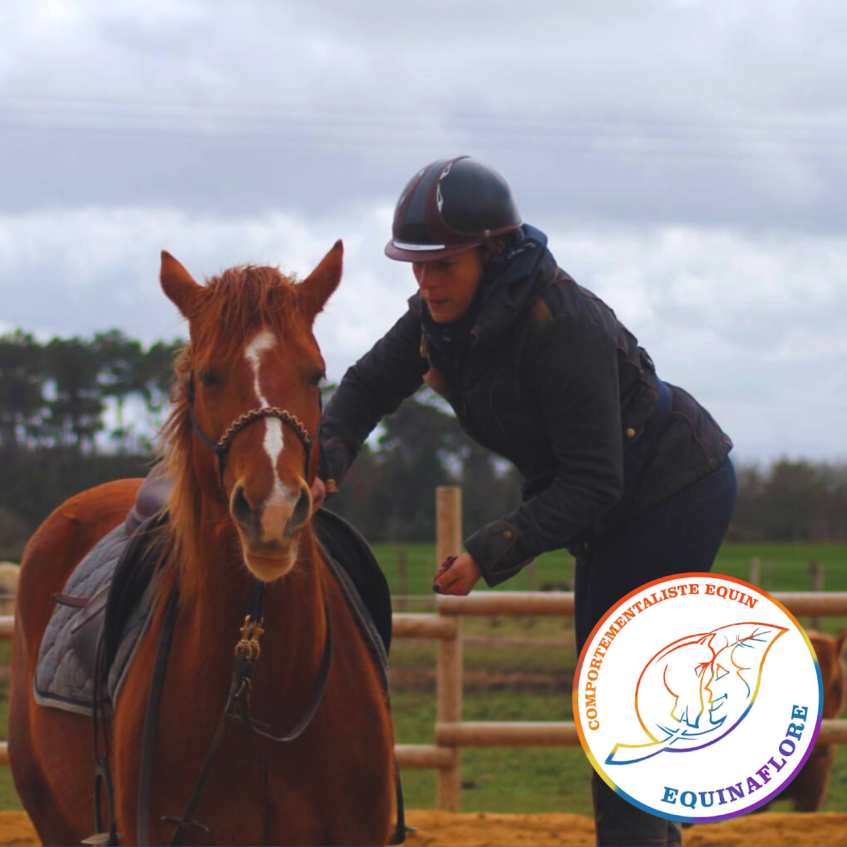 Photo 5 de Equinaflore