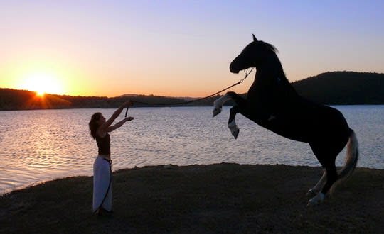 Photo 2 de EquiTerre