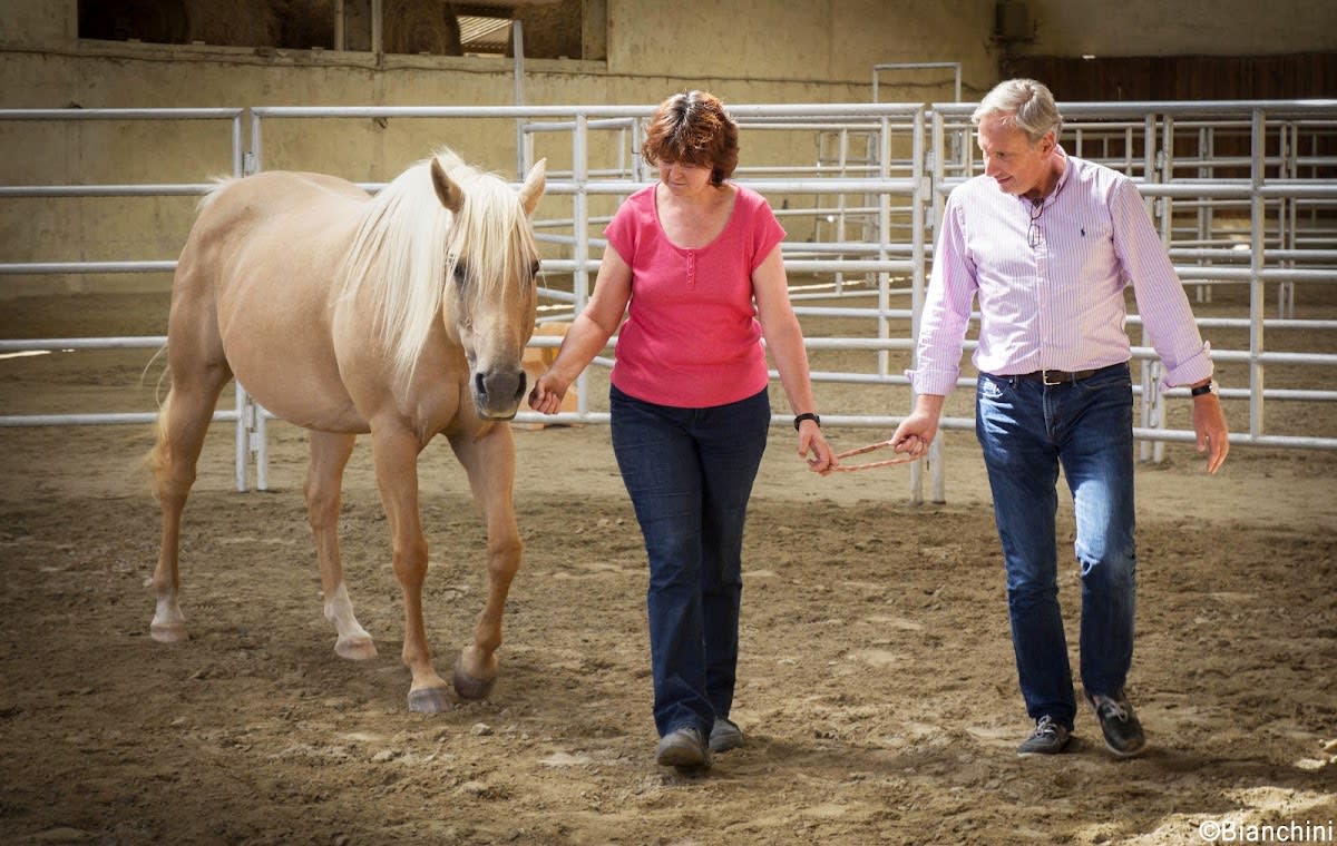 Photo 5 de Equi Nosce