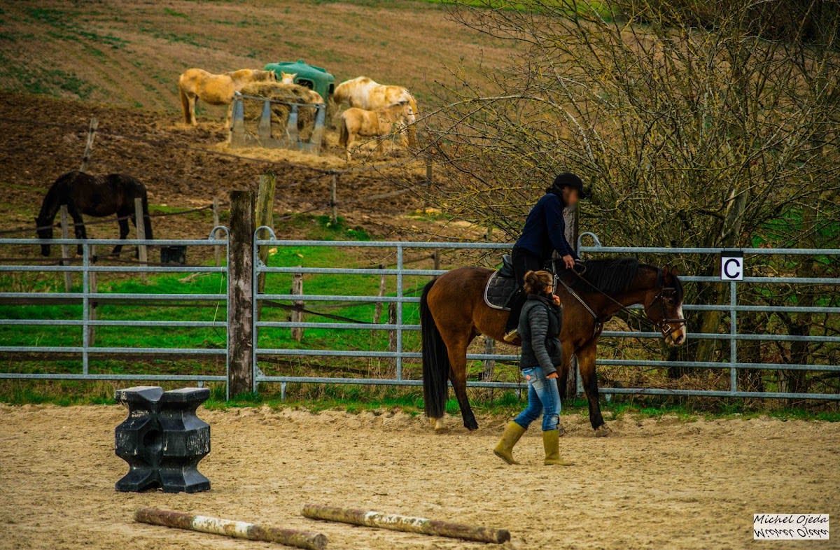 Photo 1 de Les Ecuries d'Armani