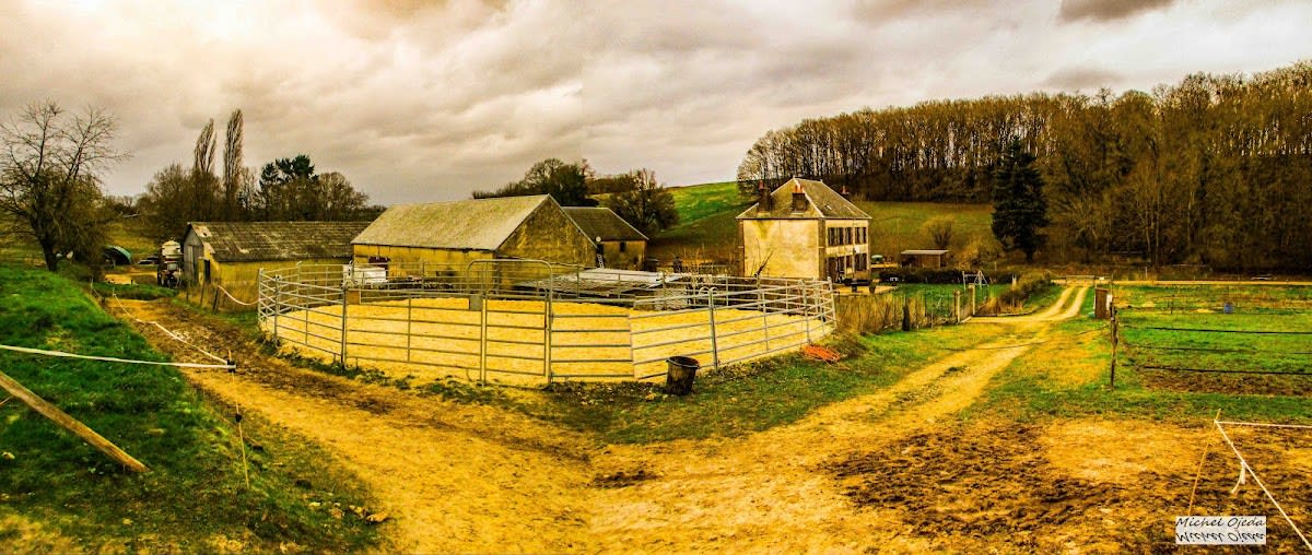 Photo 4 de Les Ecuries d'Armani