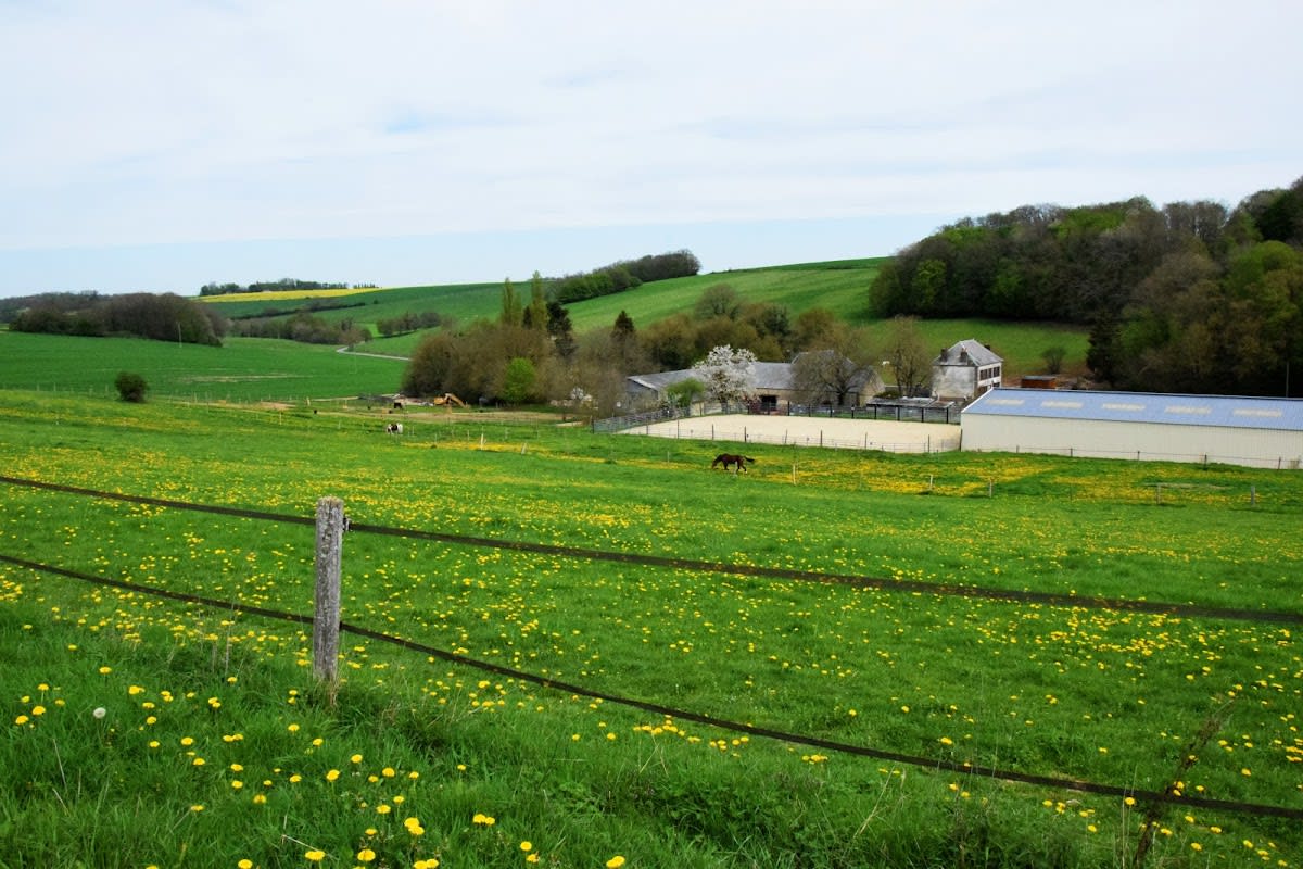 Photo 5 de Les Ecuries d'Armani