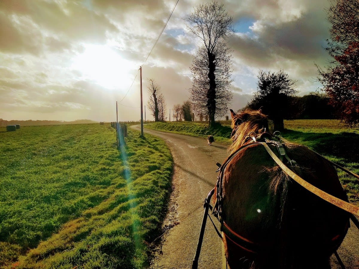 Photo 2 de L'Ecurie de l'Estrat