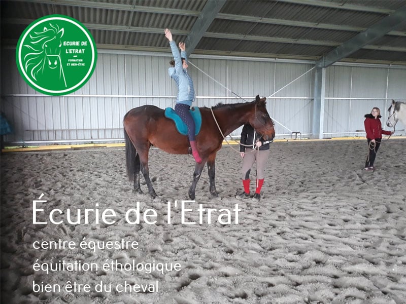 Photo 5 de L'Ecurie de l'Estrat