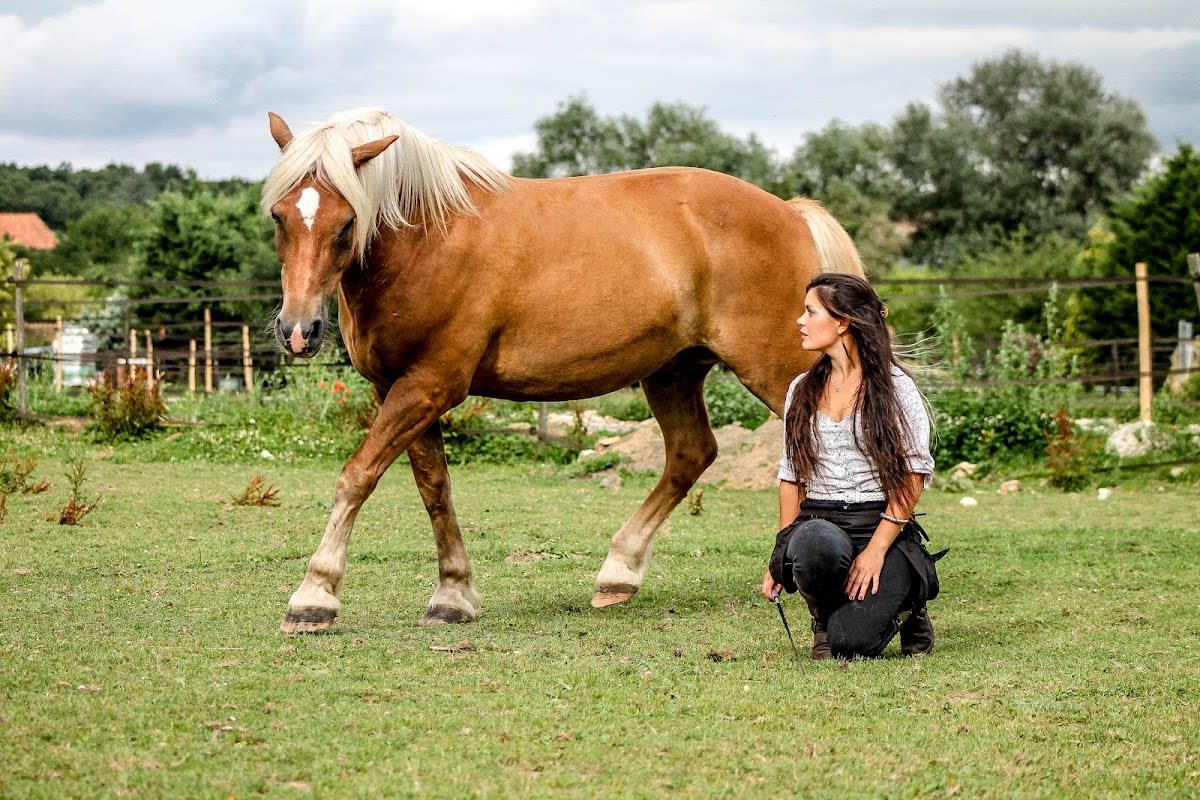 Photo 4 de Centre Equestre Equi'Luz