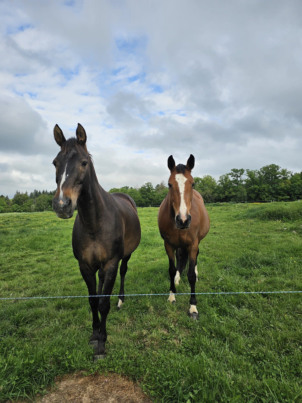 Photo 3 de Equi-Libre en Berry