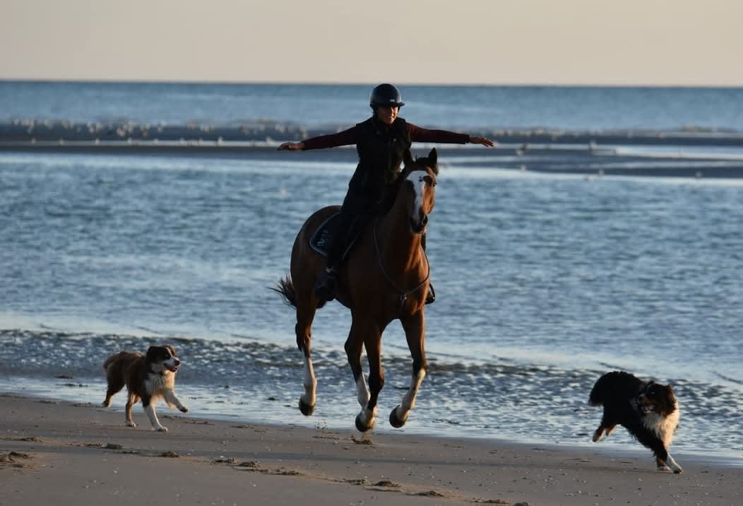 Photo 4 de Haras de Signy