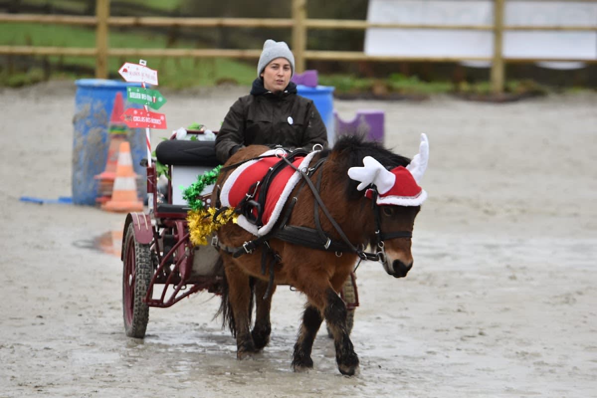 Photo 5 de Haras de Signy