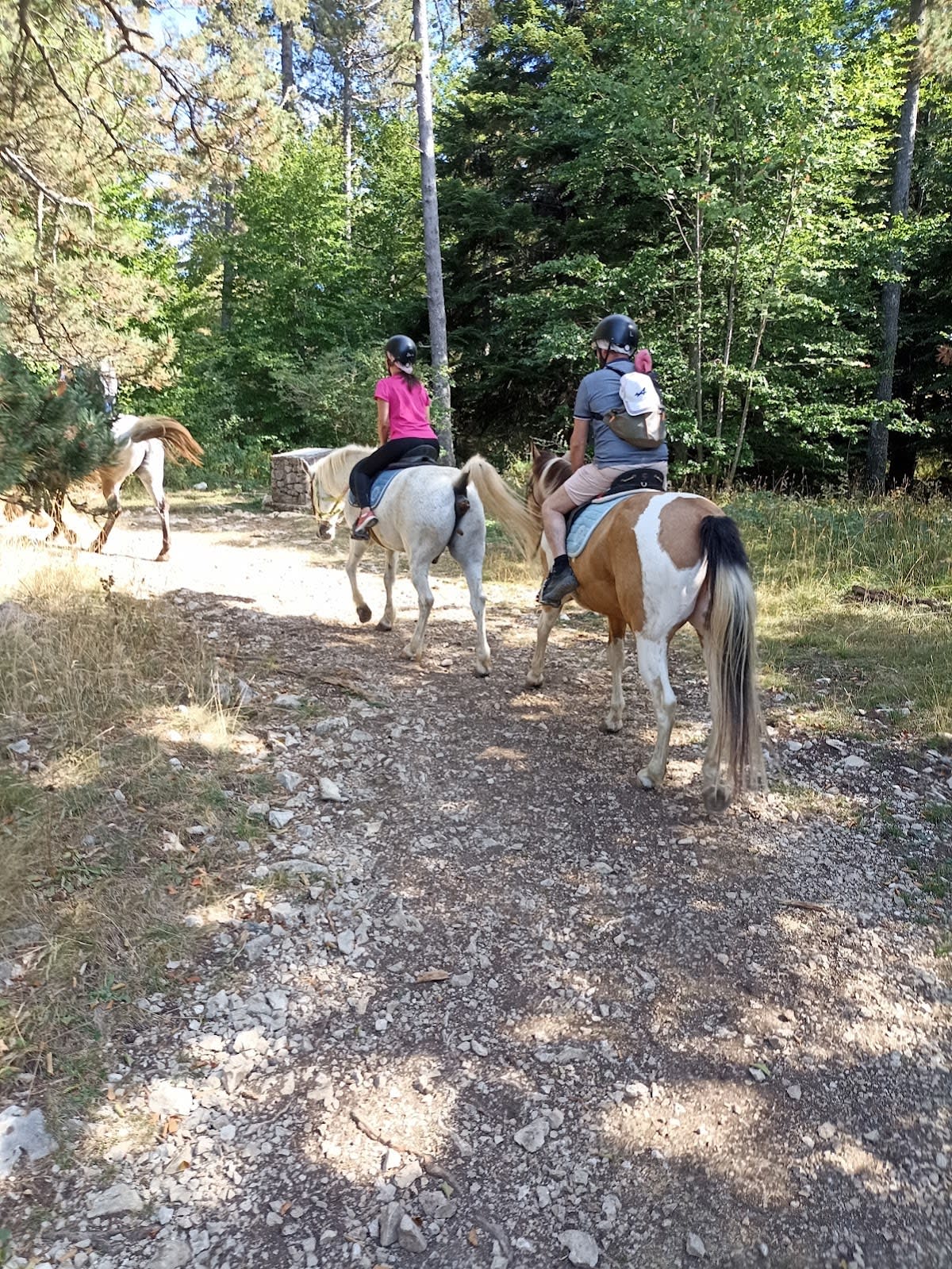 Photo 4 de La Louvière