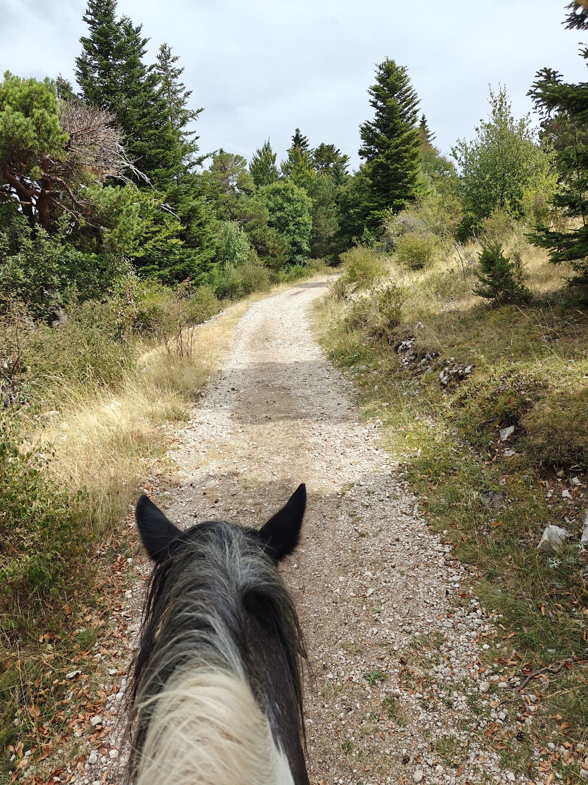 Photo 5 de La Louvière
