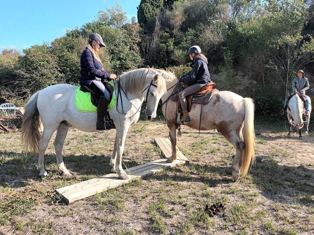 Photo 1 de Hippo Kampo