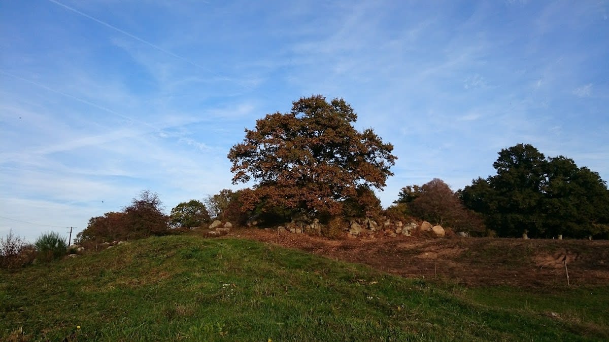 Photo 2 de Centre équestre de la Lys