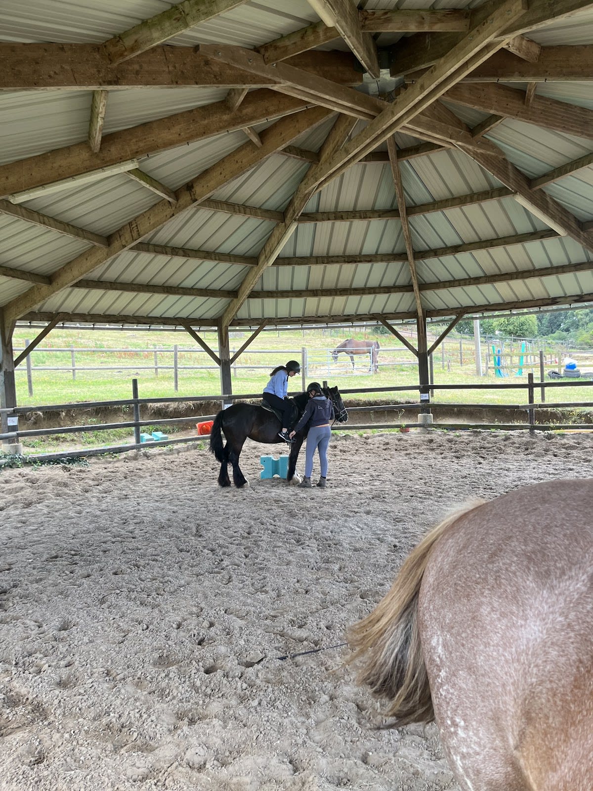 Photo 5 de Centre équestre de la Lys