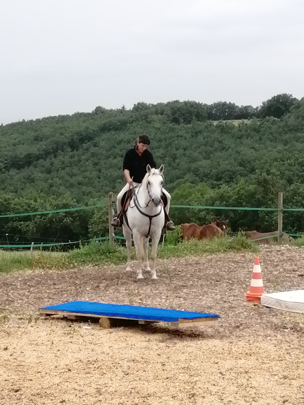 Photo 5 de Ma P'tite Ecurie