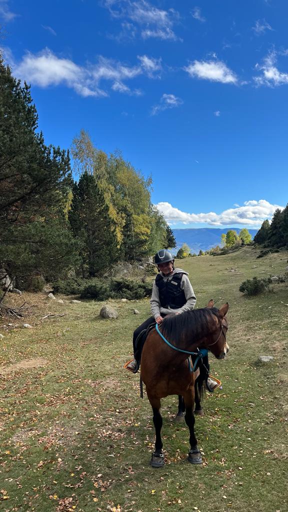 Photo 1 de Nevada Mountain Paddock
