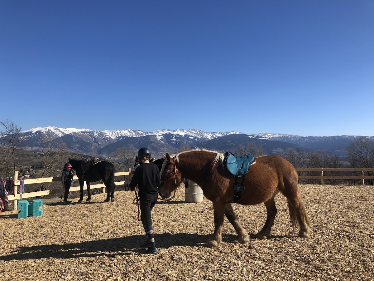 Photo 2 de Nevada Mountain Paddock