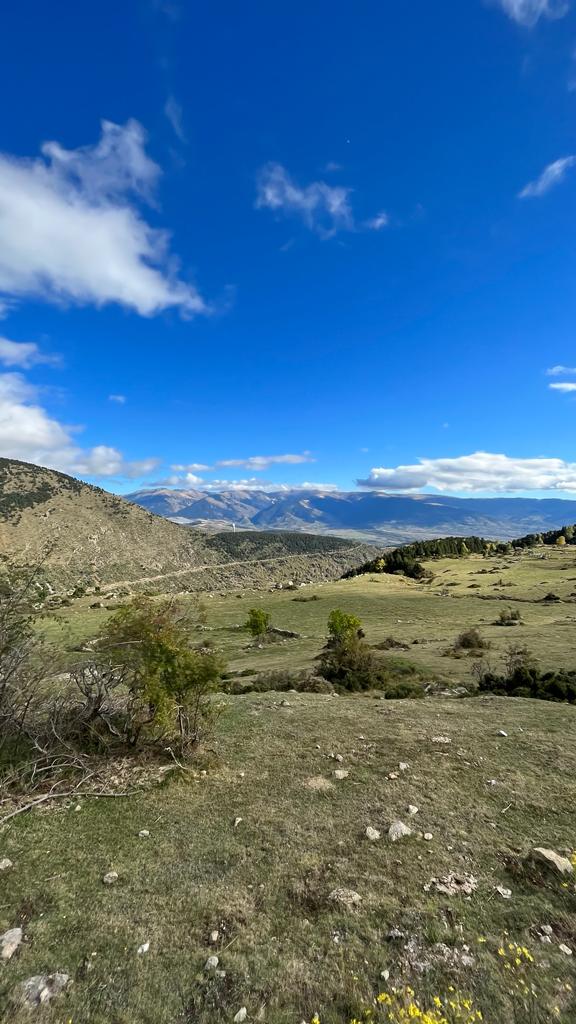 Photo 4 de Nevada Mountain Paddock