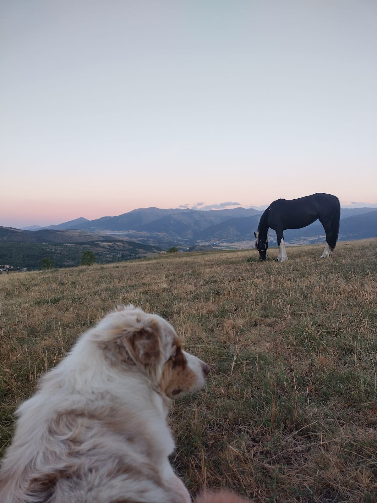 Photo 5 de Nevada Mountain Paddock