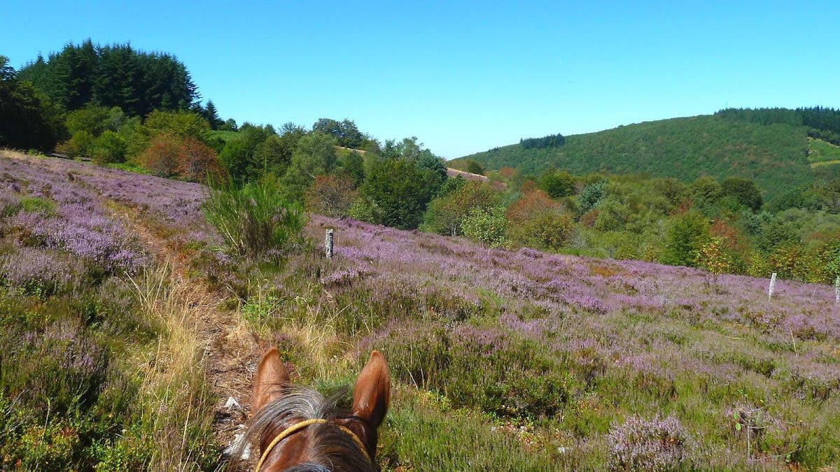 Photo 1 de La Ferme Equestre de Tréphy